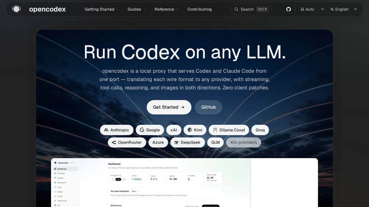 Preview of lidge-jun/opencodex